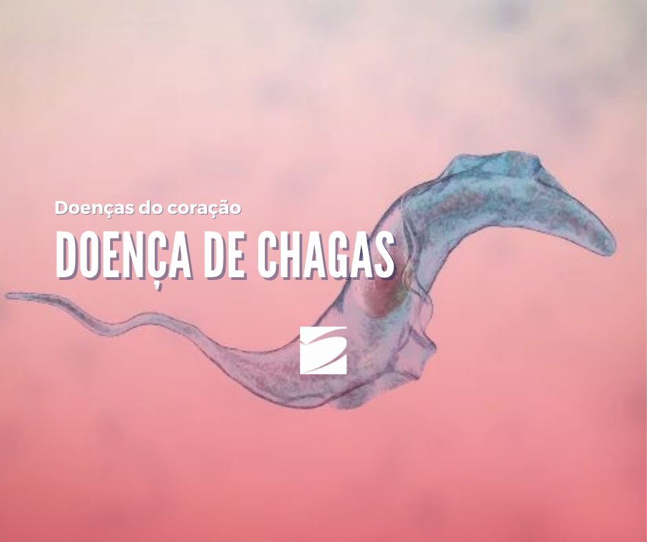 Entenda a Doença de Chagas
