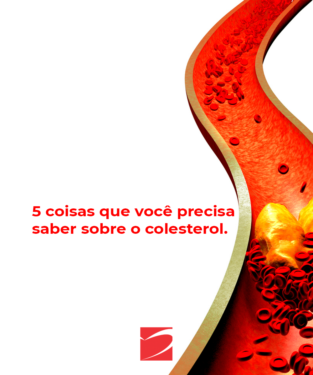 5 informações importantes sobre colesterol